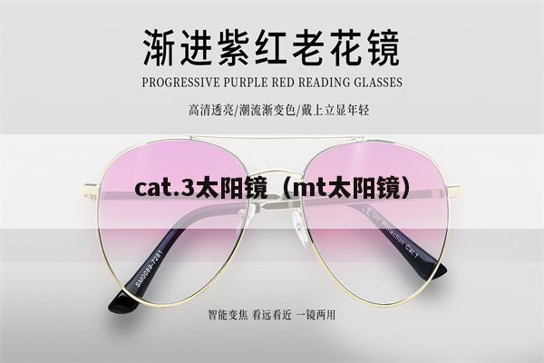 cat.3太陽鏡（mt太陽鏡） 第1張