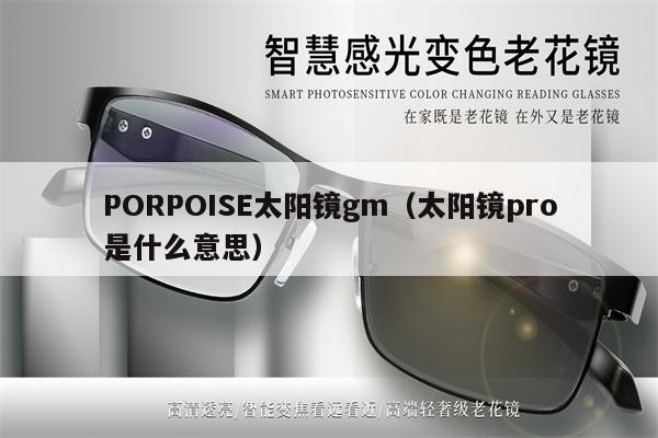 PORPOISE太陽鏡gm（太陽鏡pro是什么意思） 第1張